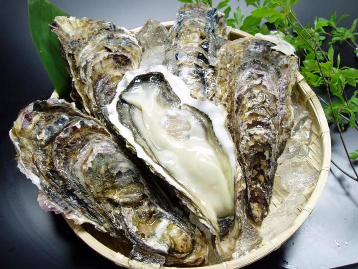 frozen-whole-shell-hiroshima-oysters.jpg